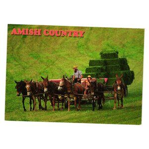 Amish Country Scenic Postcard Kurt Rhody Germany 1997 Vintage Farm Scene Horses